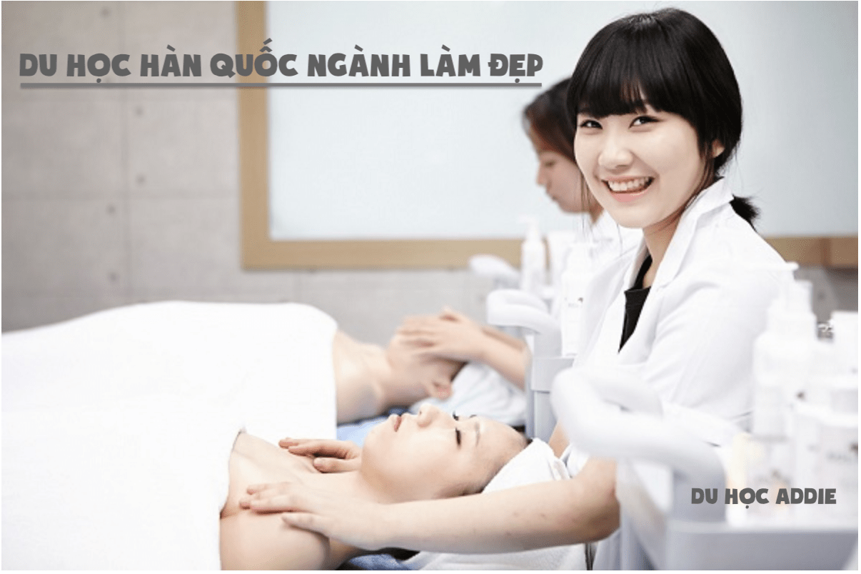 du hoc han quoc nganh lam dep