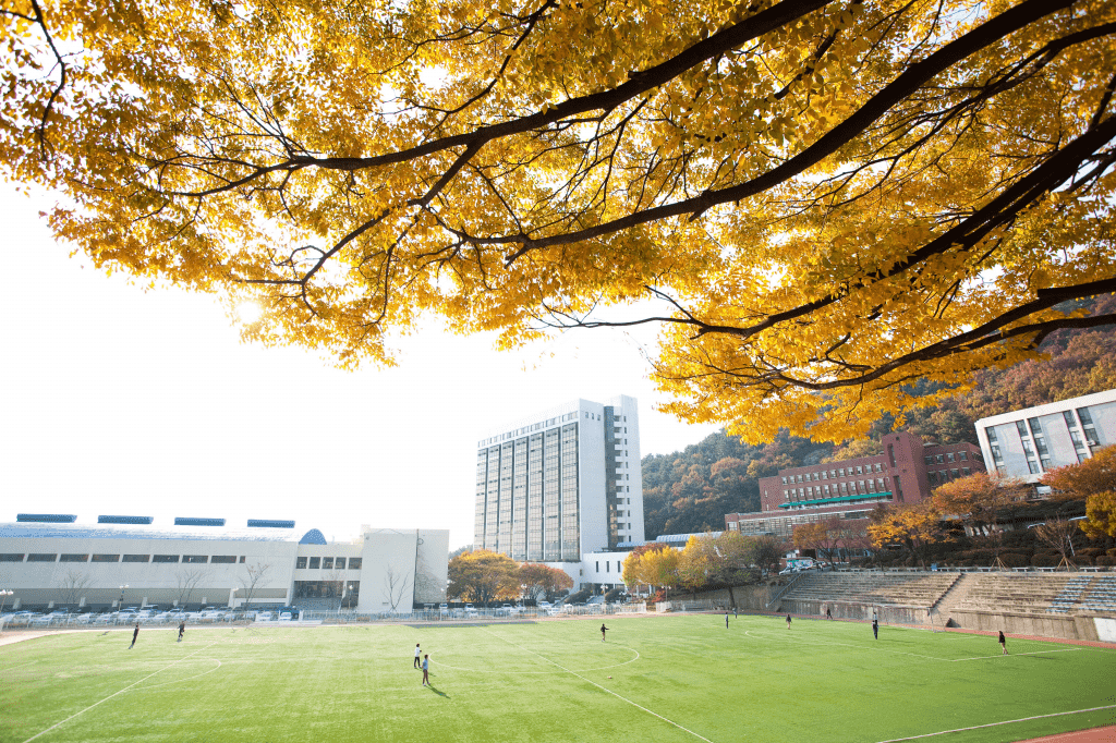 daejin university nộp hồ sơ