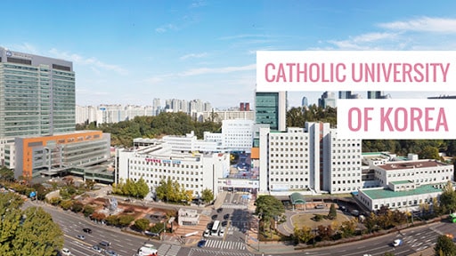 Toàn cảnh đại học Catholic